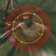 Image for article titled The New Attack on Titan 3DS Game Is a Solid Upgrade of the Last One